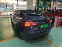 Tesla Model 3 Standard Range RWD Upgrade 3D6 - ფოტო 5