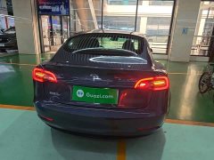 Tesla Model 3 Standard Range RWD Upgrade 3D6 - ფოტო 6