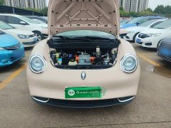 ORA Good Cat 2021 400km Standard Range Athena Edition LFP Battery - ფოტო 20
