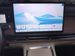 Wuling Bingguo S 2025 325km Deluxe Edition - ფოტო 13