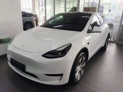 Tesla Model Y Rear-Wheel Drive - ფოტო 1