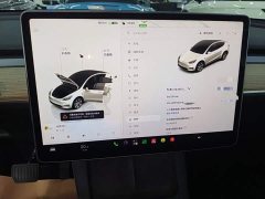 Tesla Model Y Rear-Wheel Drive - ფოტო 12