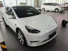 Tesla Model Y Rear-Wheel Drive - ფოტო 4