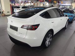 Tesla Model Y Rear-Wheel Drive - ფოტო 7
