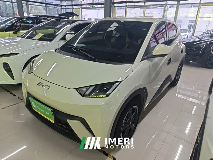 BYD Seagull Glory Edition 305km Freedom Version - ავტომობილი ჩინეთიდან