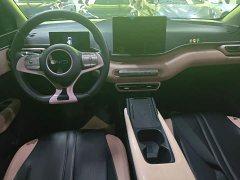 BYD Seagull Glory Edition 305km Freedom Version - ფოტო 10