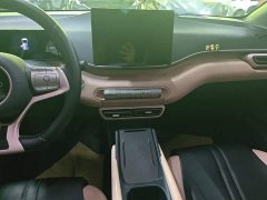 BYD Seagull Glory Edition 305km Freedom Version - ფოტო 13