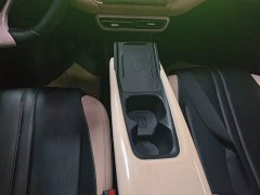 BYD Seagull Glory Edition 305km Freedom Version - ფოტო 14