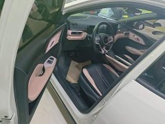 BYD Seagull Glory Edition 305km Freedom Version - ფოტო 16