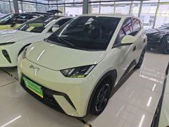 BYD Seagull Glory Edition 305km Freedom Version - ფოტო 2