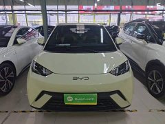 BYD Seagull Glory Edition 305km Freedom Version - ფოტო 3