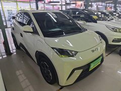 BYD Seagull Glory Edition 305km Freedom Version - ფოტო 4
