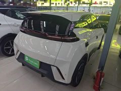 BYD Seagull Glory Edition 305km Freedom Version - ფოტო 7