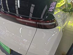 BYD Seagull Glory Edition 305km Freedom Version - ფოტო 8