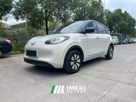 2024 Wuling Binguo 203km Light Enjoy Edition - ავტომობილი ჩინეთიდან