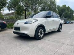 Wuling Binguo 203km Light Enjoy Edition - ფოტო 2