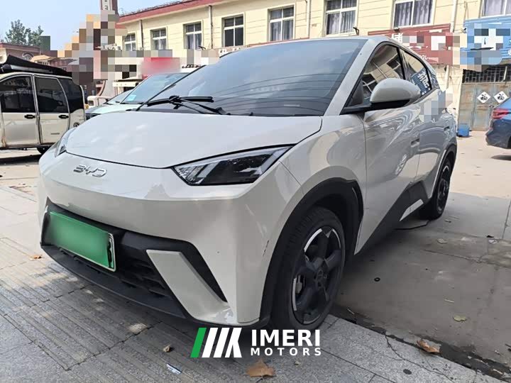 BYD Seagull Glory Edition 305km Freedom Version - ავტომობილი ჩინეთიდან