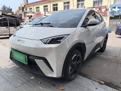 BYD Seagull Glory Edition 305km Freedom Version - ფოტო 1