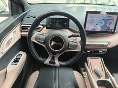 BYD Seagull Glory Edition 305km Freedom Version - ფოტო 11