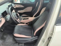 BYD Seagull Glory Edition 305km Freedom Version - ფოტო 15