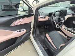 BYD Seagull Glory Edition 305km Freedom Version - ფოტო 16