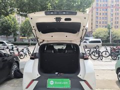 BYD Seagull Glory Edition 305km Freedom Version - ფოტო 19