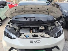 BYD Seagull Glory Edition 305km Freedom Version - ფოტო 20