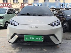 BYD Seagull Glory Edition 305km Freedom Version - ფოტო 3