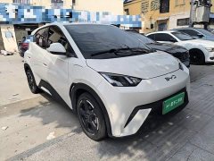 BYD Seagull Glory Edition 305km Freedom Version - ფოტო 4