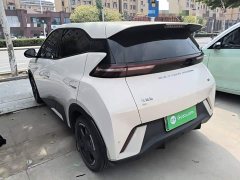 BYD Seagull Glory Edition 305km Freedom Version - ფოტო 5