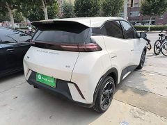 BYD Seagull Glory Edition 305km Freedom Version - ფოტო 7