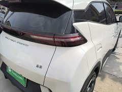 BYD Seagull Glory Edition 305km Freedom Version - ფოტო 8