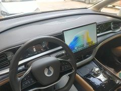 Denza BYD Denza D9 2024 DM-i 1050 Premium - ფოტო 10