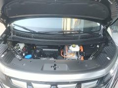 Denza BYD Denza D9 2024 DM-i 1050 Premium - ფოტო 20