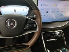 BYD Yuan Plus DM-i 2023 Champion Edition 112KM Deluxe - ფოტო 10