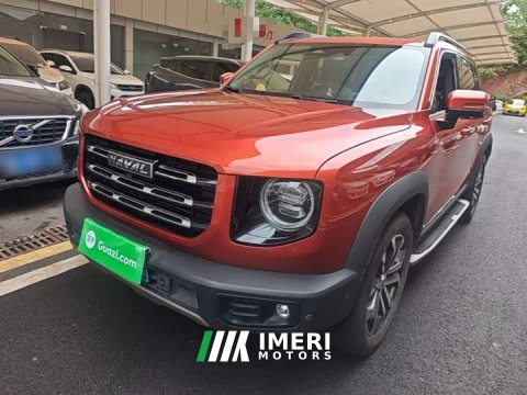2021 Great Wall Dachshund 1.5T DCT Two-Wheel Drive Malinois Edition - ავტომობილი ჩინეთიდან