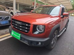 Great Wall Dachshund 1.5T DCT Two-Wheel Drive Malinois Edition - ფოტო 2
