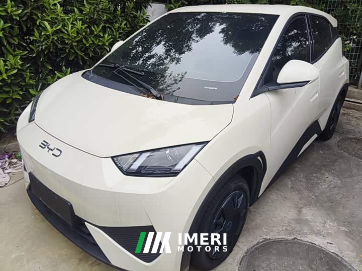 BYD Seagull 305km Vitality Edition - ავტომობილი ჩინეთიდან