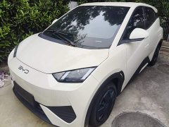 BYD Seagull 305km Vitality Edition - ფოტო 1