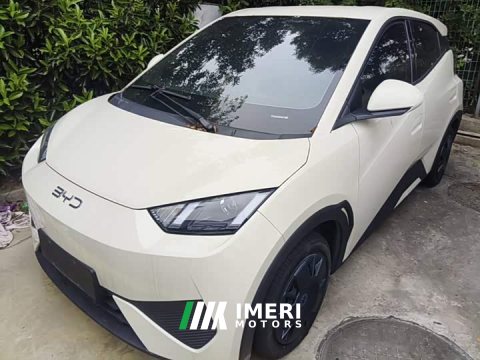 2025 BYD Seagull 305km Vitality Edition - ავტომობილი ჩინეთიდან