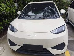 BYD Seagull 305km Vitality Edition - ფოტო 3