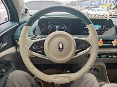 ORA Good Cat 400km Standard Range Athena Edition Ternary Lithium - ფოტო 11