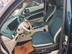 ORA Good Cat 400km Standard Range Athena Edition Ternary Lithium - ფოტო 15