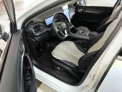BYD Destroyer 05 2023 Champion Edition DM-i 120KM Luxury - ფოტო 16