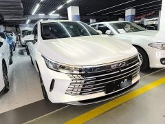 BYD Destroyer 05 2023 Champion Edition DM-i 120KM Luxury - ფოტო 4