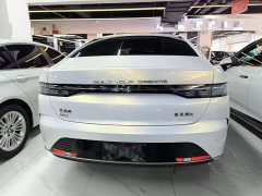 BYD Destroyer 05 2023 Champion Edition DM-i 120KM Luxury - ფოტო 6
