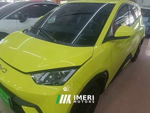 2024 BYD Seagull Glory Edition 305km Vitality Version - ავტომობილი ჩინეთიდან