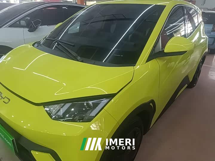 BYD Seagull Glory Edition 305km Vitality Version