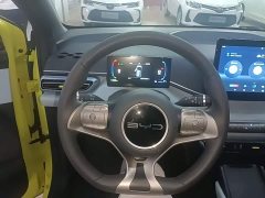 BYD Seagull Glory Edition 305km Vitality Version - ფოტო 11