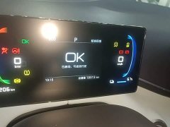 BYD Seagull Glory Edition 305km Vitality Version - ფოტო 12